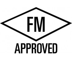 FM